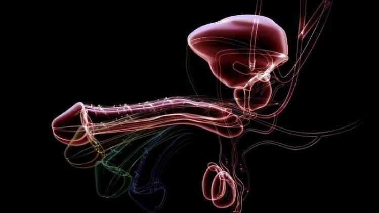 Why does discharge appear when men are excited and is this normal